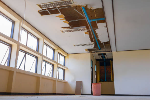 Best Basement water damage restoration  in Brewster Hill, NY