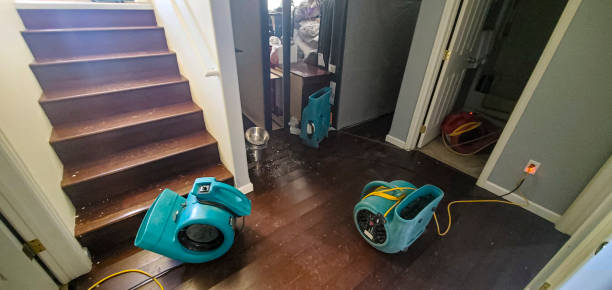 Best Emergency water damage restoration  in Brewster Hill, NY