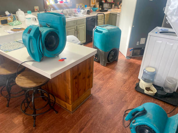 Best Local water damage restoration  in Brewster Hill, NY