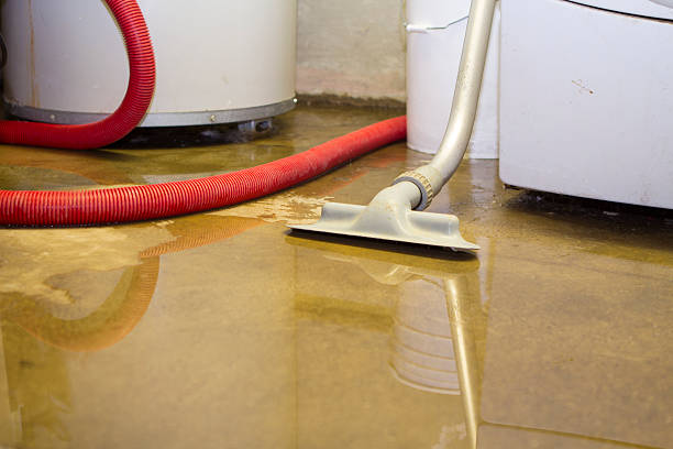 Brewster Hill, NY Water damage restoration Company