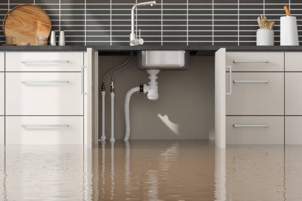Reliable Brewster Hill, NY Water damage restoration Solutions