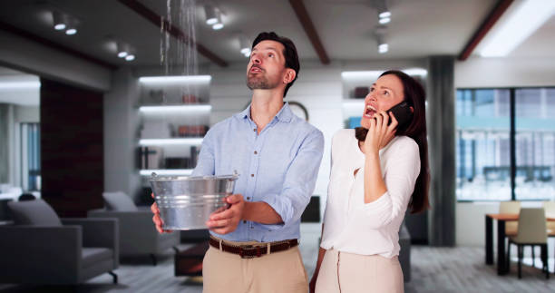 Best Carpet water damage restoration  in Brewster Hill, NY